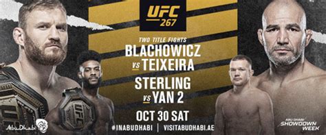 ufc 267 blachowicz vs teixeira.